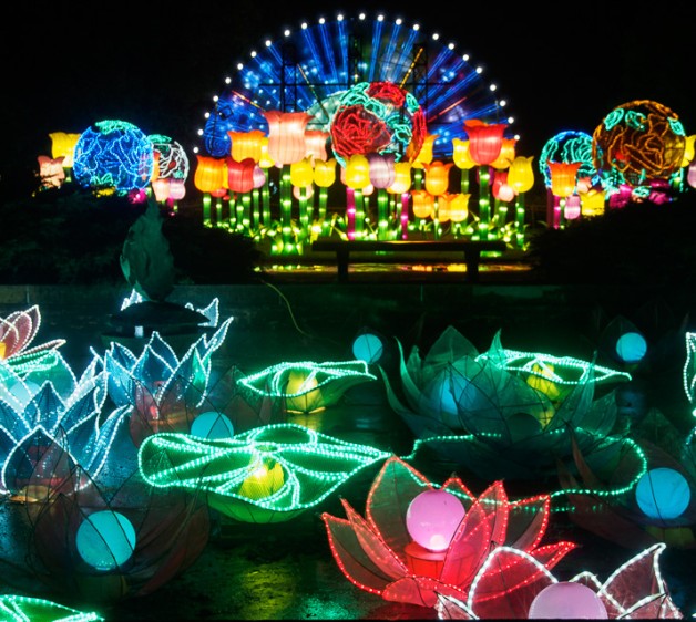 Boerner Lights Overview