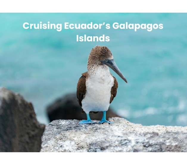 Cruising Ecuadors Galapagos Islands 1